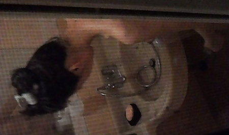 Panjang Berambut Pirang Menyebalkan Kontol Dan Mendapat video bokep gratis korea Bercinta.MP4
